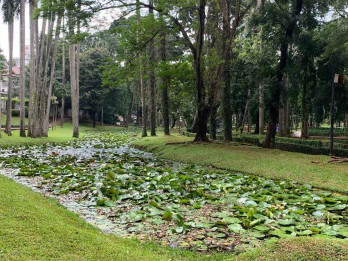 Ini Alasan Gubernur Pramono Kekeuh Integrasi 3 Taman Ikonik di Jaksel