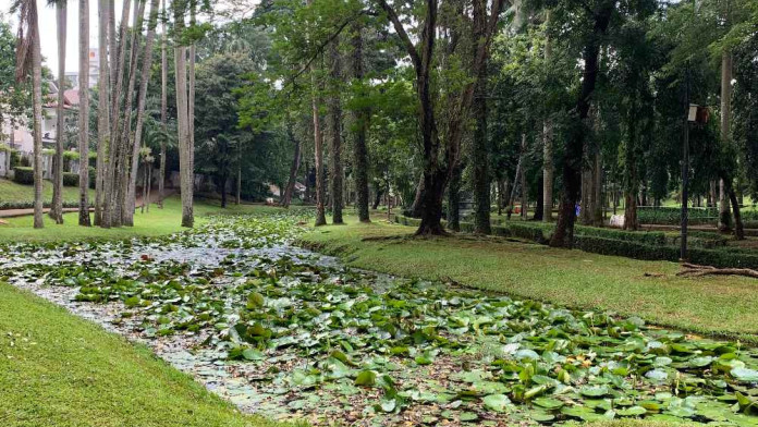 Ini Alasan Gubernur Pramono Kekeuh Integrasi 3 Taman Ikonik di Jaksel