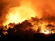 Kebakaran Hutan Terbesar sejak 1949 di Prancis Terkendali, 16.000 Hektare Lahan Terimbas