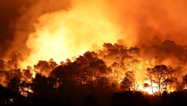 Kebakaran Hutan Terbesar sejak 1949 di Prancis Terkendali, 16.000 Hektare Lahan Terimbas