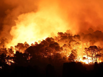 Kebakaran Hutan Terbesar sejak 1949 di Prancis Terkendali, 16.000 Hektare Lahan Terimbas