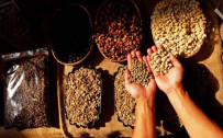 Sinyal Harga Kopi Kembali Pahit Kala Tarif Trump Mulai Berlaku