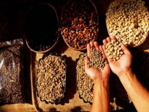 Sinyal Harga Kopi Kembali Pahit Kala Tarif Trump Mulai Berlaku