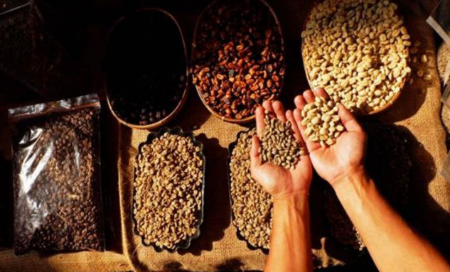 Sinyal Harga Kopi Kembali Pahit Kala Tarif Trump Mulai Berlaku