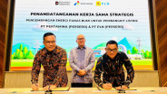 Potensi Besar Panas Bumi Tersandung Beban Investasi