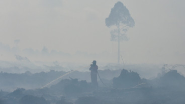 Perusahaan Pemegang HGU dan HTI Diminta Tak Abaikan Kewajiban Pencegahan Karhutla