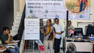 Pentingnya Petani Jagung Melek Finansial
