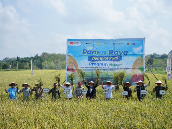 Panen Raya di Bangka Selatan, Pusri Palembang Dukung Swasembada Pangan