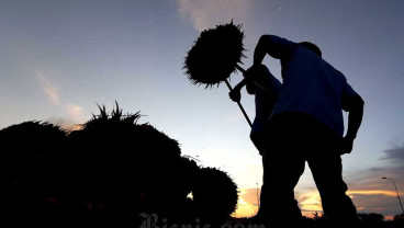 Terbesar Ketiga Nasional, Segini Dana Transfer Kalimantan