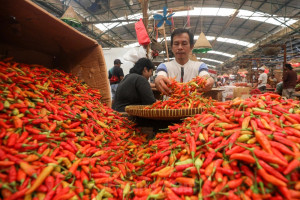 Inflasi Tahun Berjalan Sesuai Target