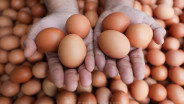 Harga Telur Ayam Melambung, Ada yang Tembus Rp100.000 per Kg!