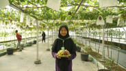 JELAJAH PESANTREN: Ponpes Al Markaz jadi Tujuan Favorit Agro Eduwisata