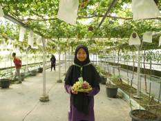 JELAJAH PESANTREN: Ponpes Al Markaz jadi Tujuan Favorit Agro Eduwisata