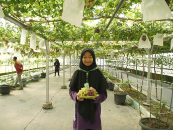 JELAJAH PESANTREN: Ponpes Al Markaz jadi Tujuan Favorit Agro Eduwisata