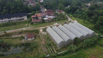 Jelajah Pesantren: Ponpes Raudhatul Ihsan Jaga Asa Kembalikan Kejayaan Santri dan Ketahanan Pangan