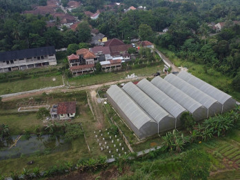 Jelajah Pesantren: Ponpes Raudhatul Ihsan Jaga Asa Kembalikan Kejayaan Santri dan Ketahanan Pangan