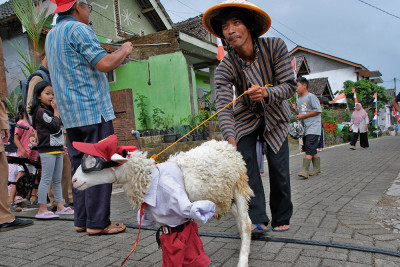 Karnaval Domba Semarak HUT Kemerdekaan RI