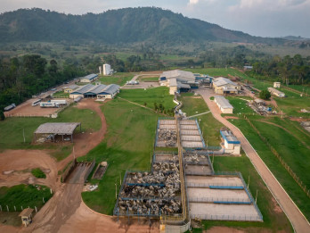 Pemasok Daging Terbesar Dunia Cari Kredensial Hijau untuk Brasil di COP30