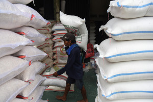 Harga Beras Premium dan Medium Naik Secara Nasional