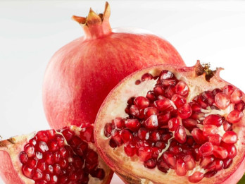 Harga Delima dan Bluberry Bakal Lebih Murah Berkat IP—CEPA