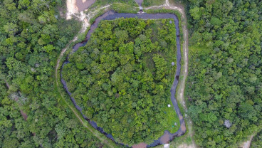 Kemenhut Siapkan Proposal, Incar Pembiayaan Iklim Sektor Kehutanan Rp1,30 Triliun dari GCF