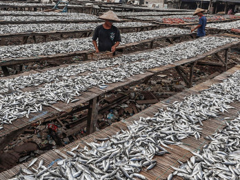 Produksi Ikan Nasional Meningkat