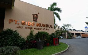 Pemulihan Sido Muncul (SIDO) dari Rapor yang Masuk Angin