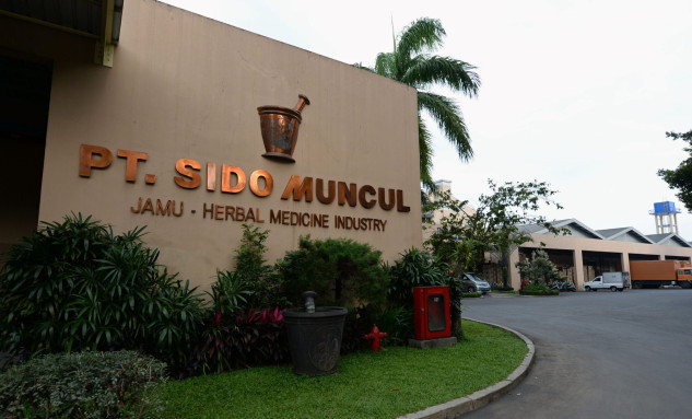 Pemulihan Sido Muncul (SIDO) dari Rapor yang Masuk Angin