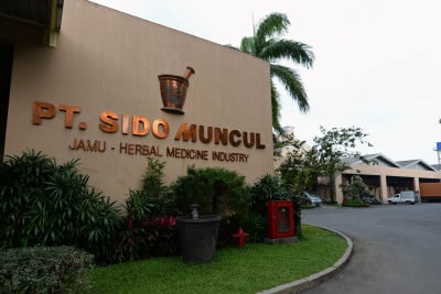 Pemulihan Sido Muncul (SIDO) dari Rapor yang Masuk Angin