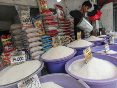 Alarm Harga Beras Medium di Tengah Pelemahan Daya Beli Masyarakat Menengah