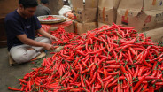 Harga Pangan Kamis (14/8): Beras, Cabai, Bawang Kompak Turun