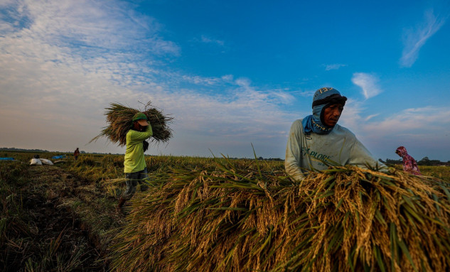 The Complex Realities of State-Owned Food Enterprises