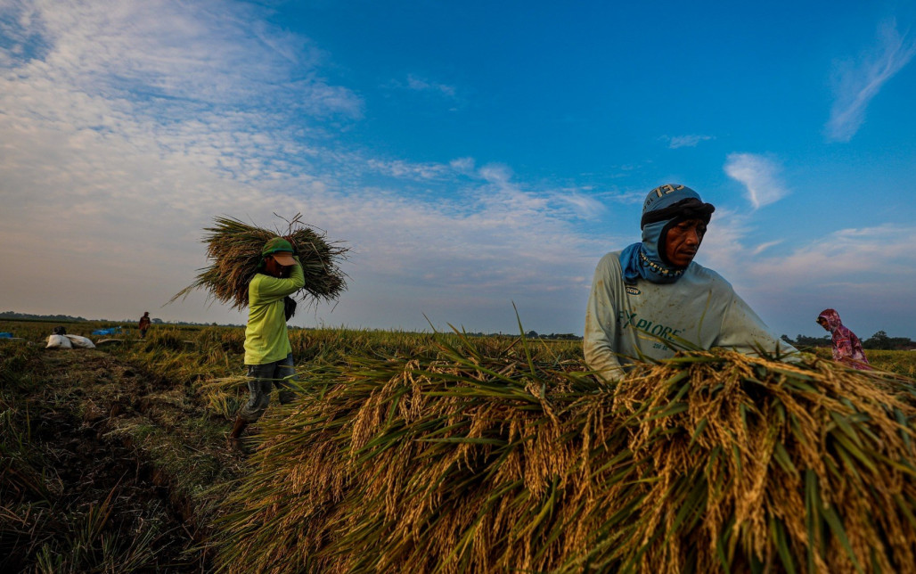 The Complex Realities of State-Owned Food Enterprises