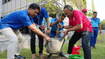 HUT RI, Pelindo Petikemas Tanam Seribu Pohon Hijaukan Area Kerja