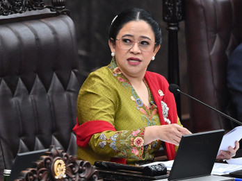 Puan Soroti Polemik Rekening Dormant Hingga Ekspor Data Pribadi ke AS