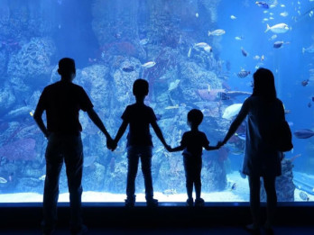 Rayakan HUT ke-80 RI, Jakarta Aquarium Safari Kibarkan Bendera Merah Putih Dalam Air