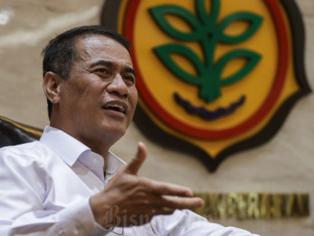 Mentan Amran Pede Swasembada Pangan Bisa Terwujud Tahun Ini