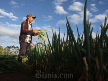 Nilai Tukar Petani Sulsel Menurun