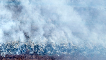 Negara Eropa Alami Kebakaran Hutan Terparah Efek Gelombang Panas & Perubahan Iklim