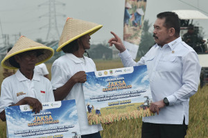 Panen Raya di Lahan Rampasan Negara