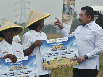 Panen Raya di Lahan Rampasan Negara