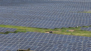 Permintaan Energi Lesu, India Lakukan Pembatasan Output Listrik Hijau