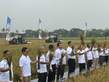 Kejagung-Mentan Panen 32 Ton Gabah dari Lahan Sitaan Benny Tjokro