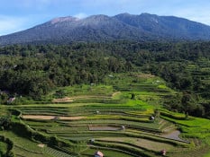 Proyeksi Beras Nasional Surplus September 2025