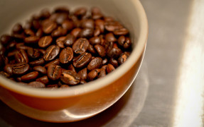 Impor Kopi AS dari Brasil Surut, Indonesia Bisa Jadi Pengganti?