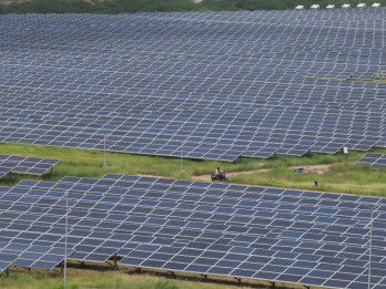 Trump Tuding Energi Surya dan Angin Biang Kerok Kenaikan Harga Listrik AS