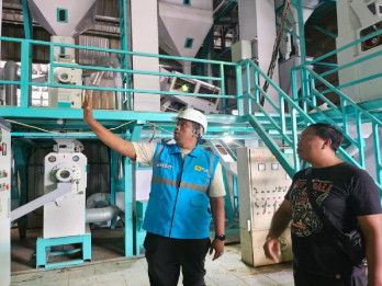 Beralih ke Listrik, Produksi Penggilingan Padi di Bali Meningkat 40%