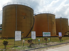 BEI Suspensi Saham Sawit Peter Sondakh (BWPT) Usai Melejit 167%