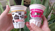 Program MBG Bikin Sweet Sundae Company Cuan hingga Miliaran Rupiah