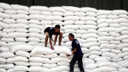 194.100 Ton Beras Numpuk Setahun, Bos Bulog: Masih Layak Konsumsi